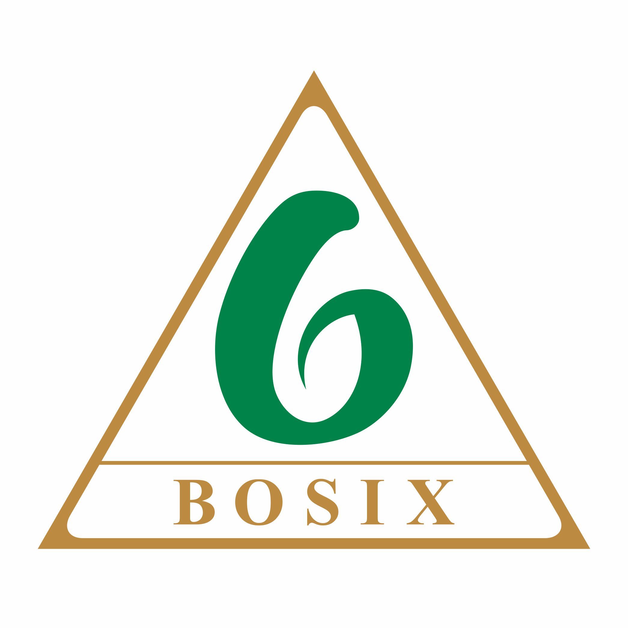 Công ty CP Bosix Việt Nam