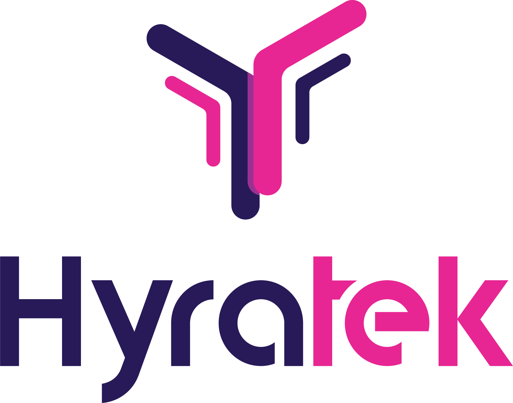 CÔNG TY CỔ PHẦN HYRATEK