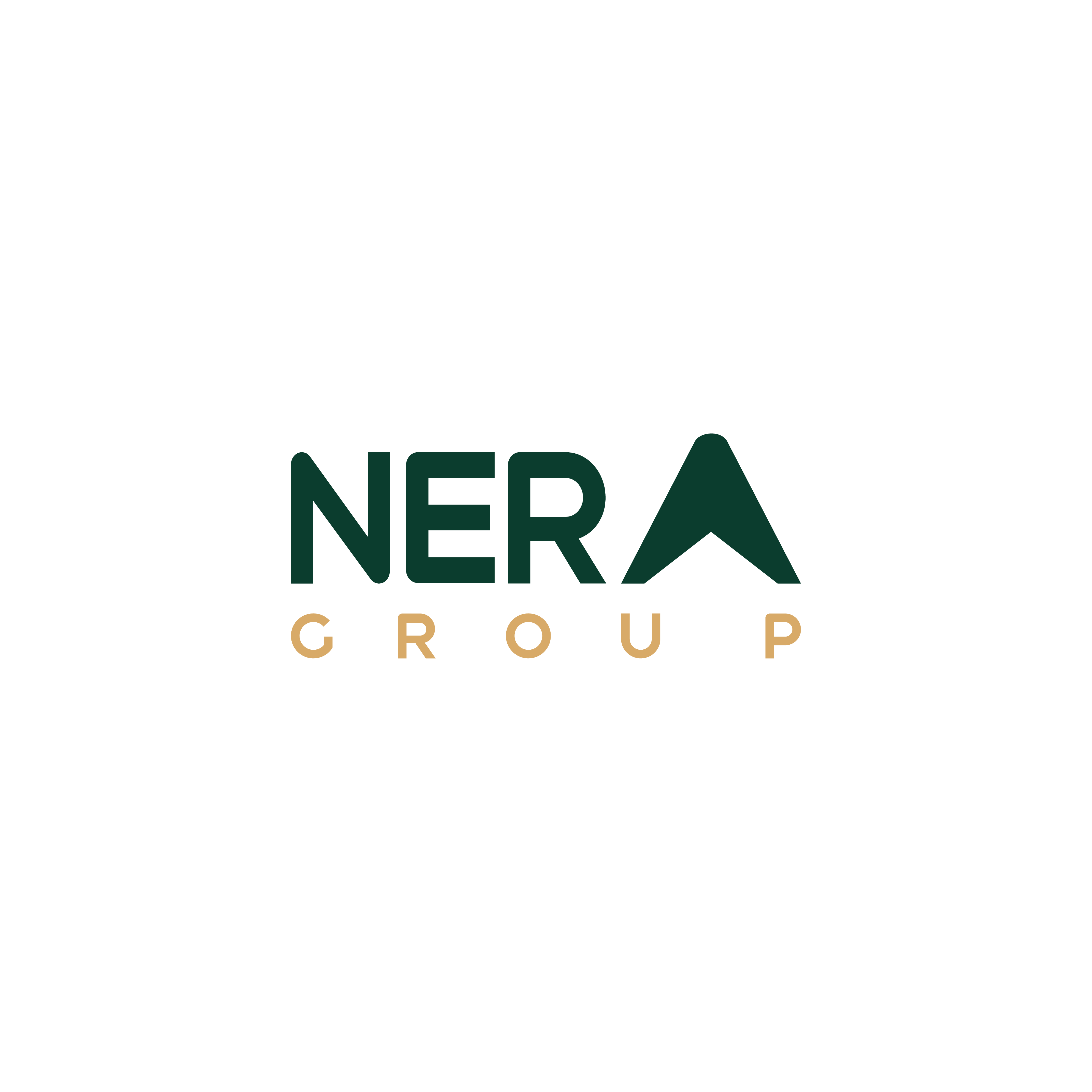 CÔNG TY CỔ PHẦN TẬP ĐOÀN NERAGROUP