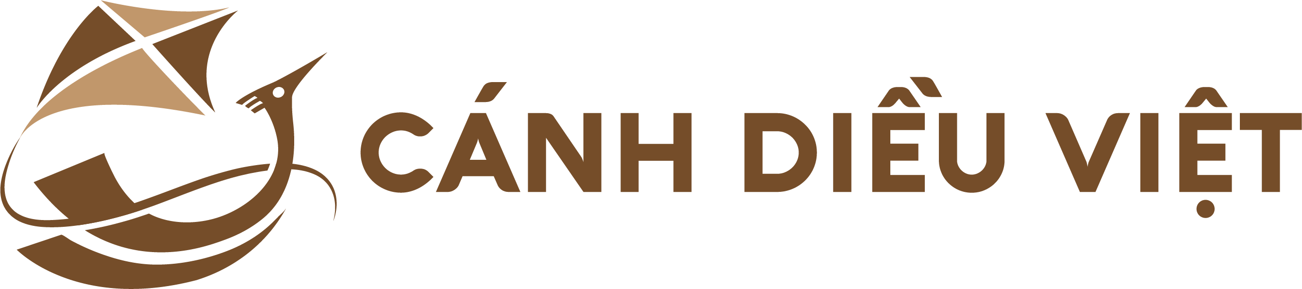 CÔNG TY CỔ PHẦN CÁNH DIỀU VIỆT