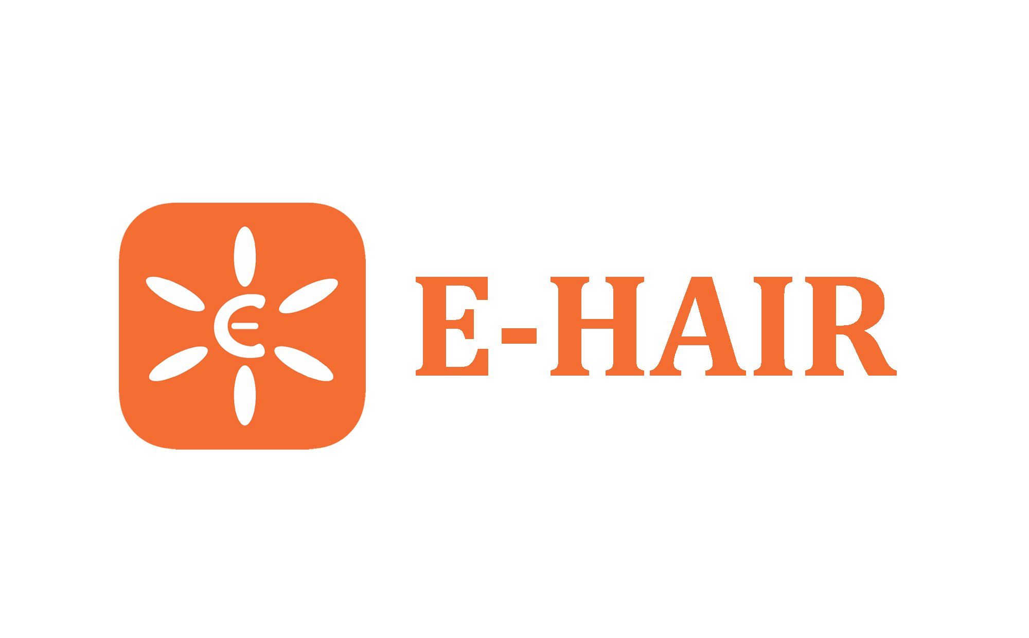 Công ty TNHH Xuất Nhập Khẩu E-Hair Việt Nam