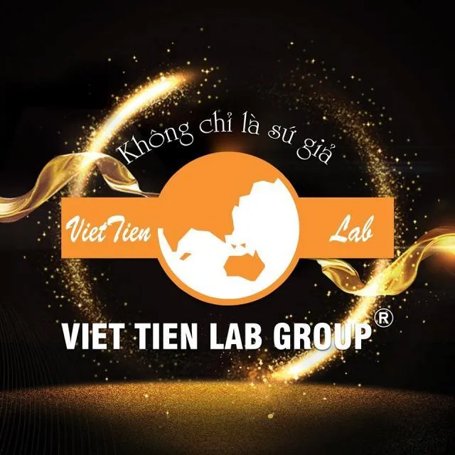Việt Tiên Group