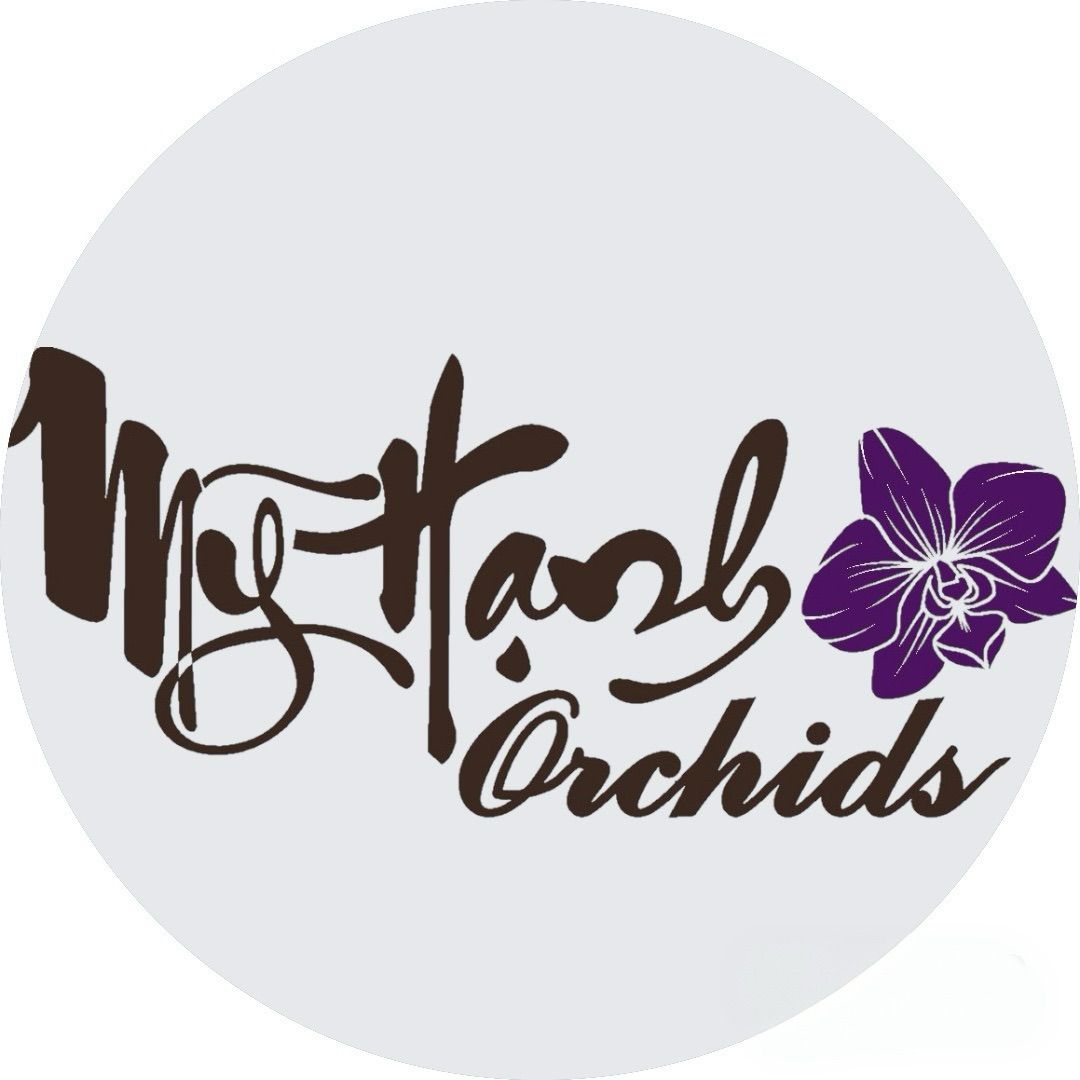 HỘ KINH DOANH MỸ HẠNH ORCHIDS