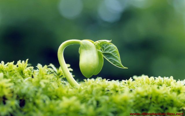 Công ty TNHH Kỹ thuật Tư vấn Hoa Phú