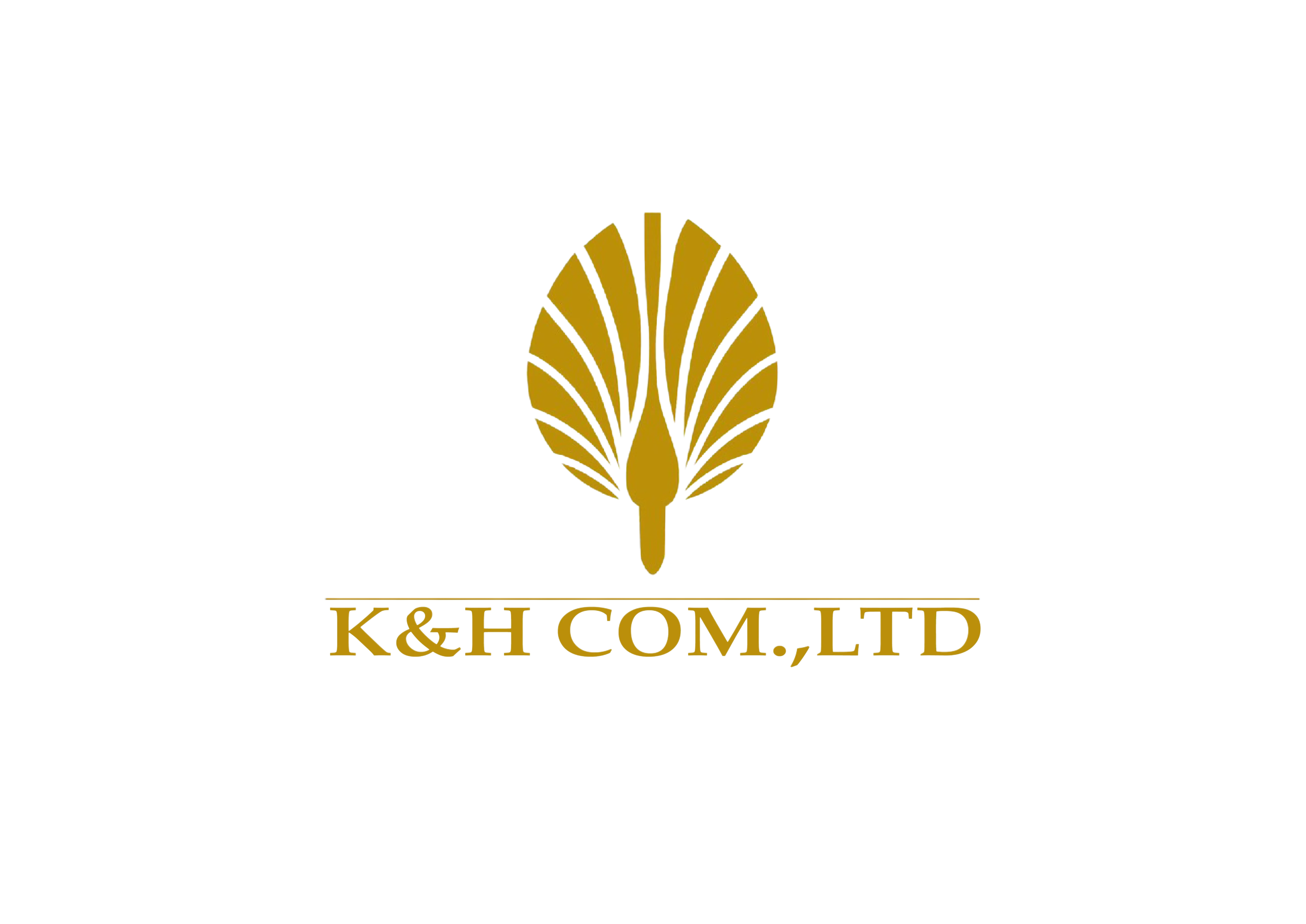 CÔNG TY TNHH DỊCH VỤ VÀ GIẢI TRÍ K&H