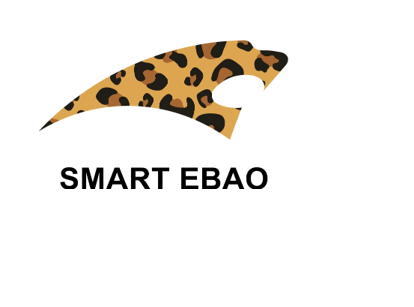 CÔNG TY TNHH CÔNG NGHỆ MẠNG EBAO (VIỆT NAM)