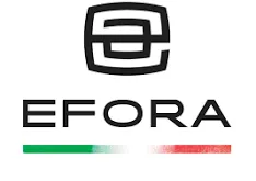 Công ty cổ phần Efora