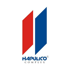 CÔNG TY CỔ PHẦN ĐẦU TƯ BẤT ĐỘNG SẢN HAPULICO