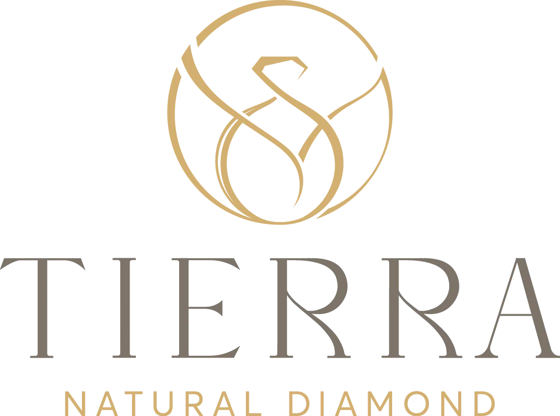 Công ty Cổ phần Tierra