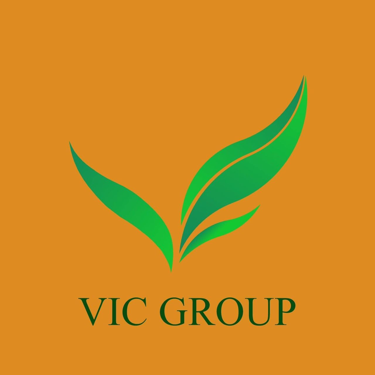 VIC GROUP