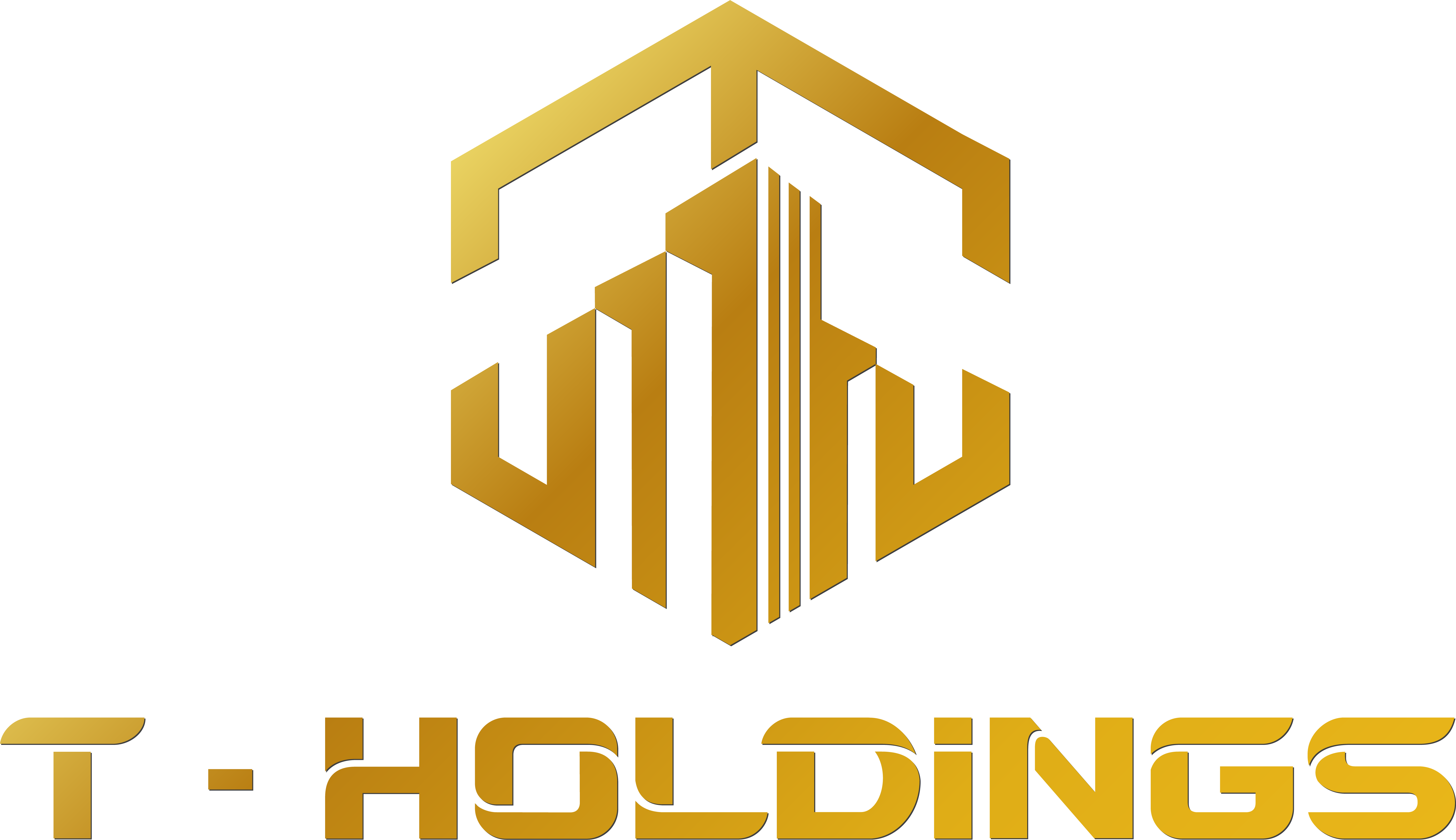 CÔNG TY CỔ PHẦN ĐẦU TƯ T - HOLDINGS