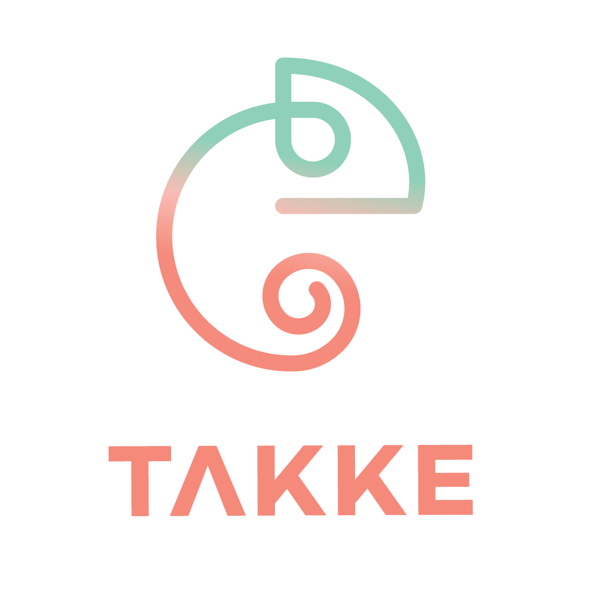 Công ty TNHH TAKKE