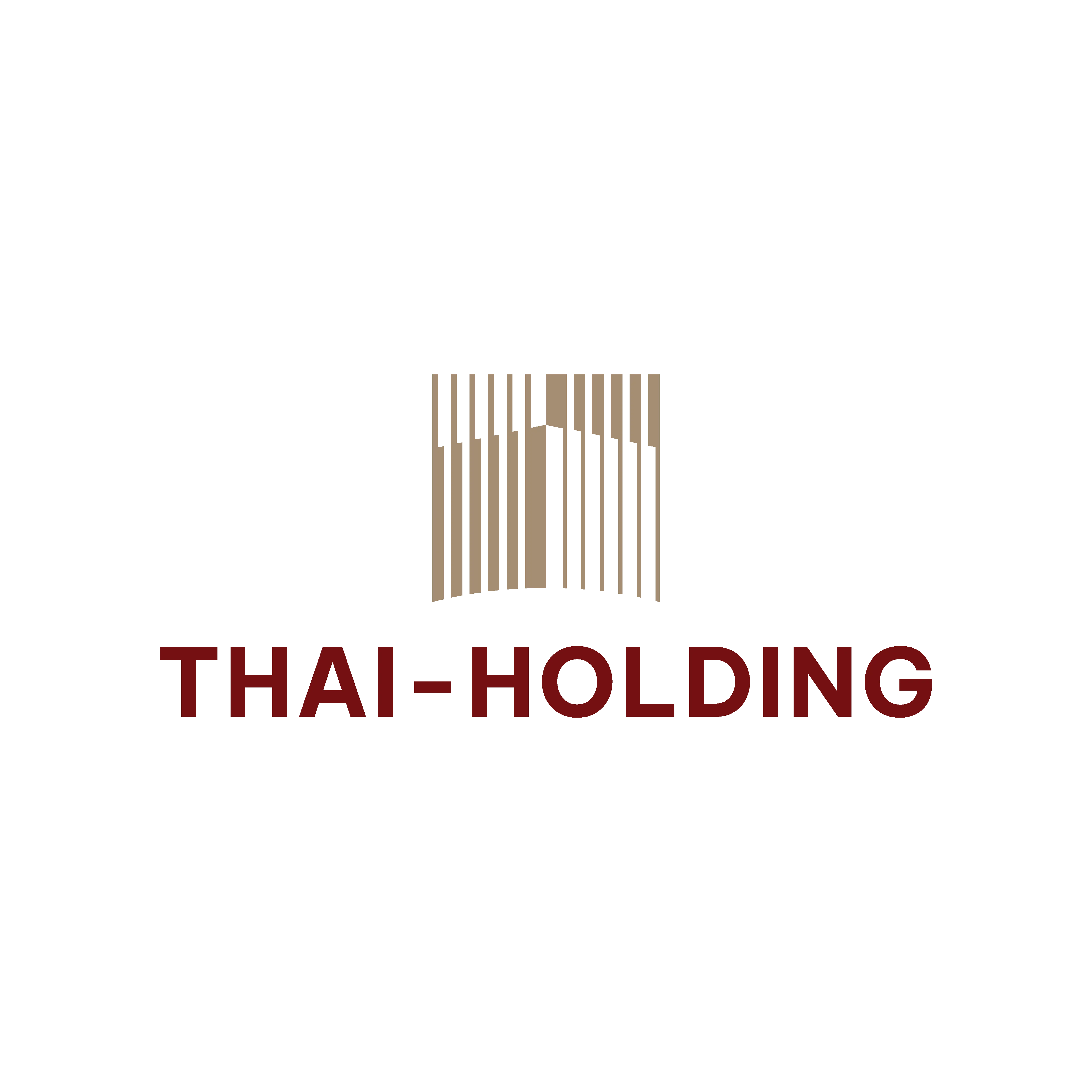 CÔNG TY CỔ PHẦN THÁI - HOLDING