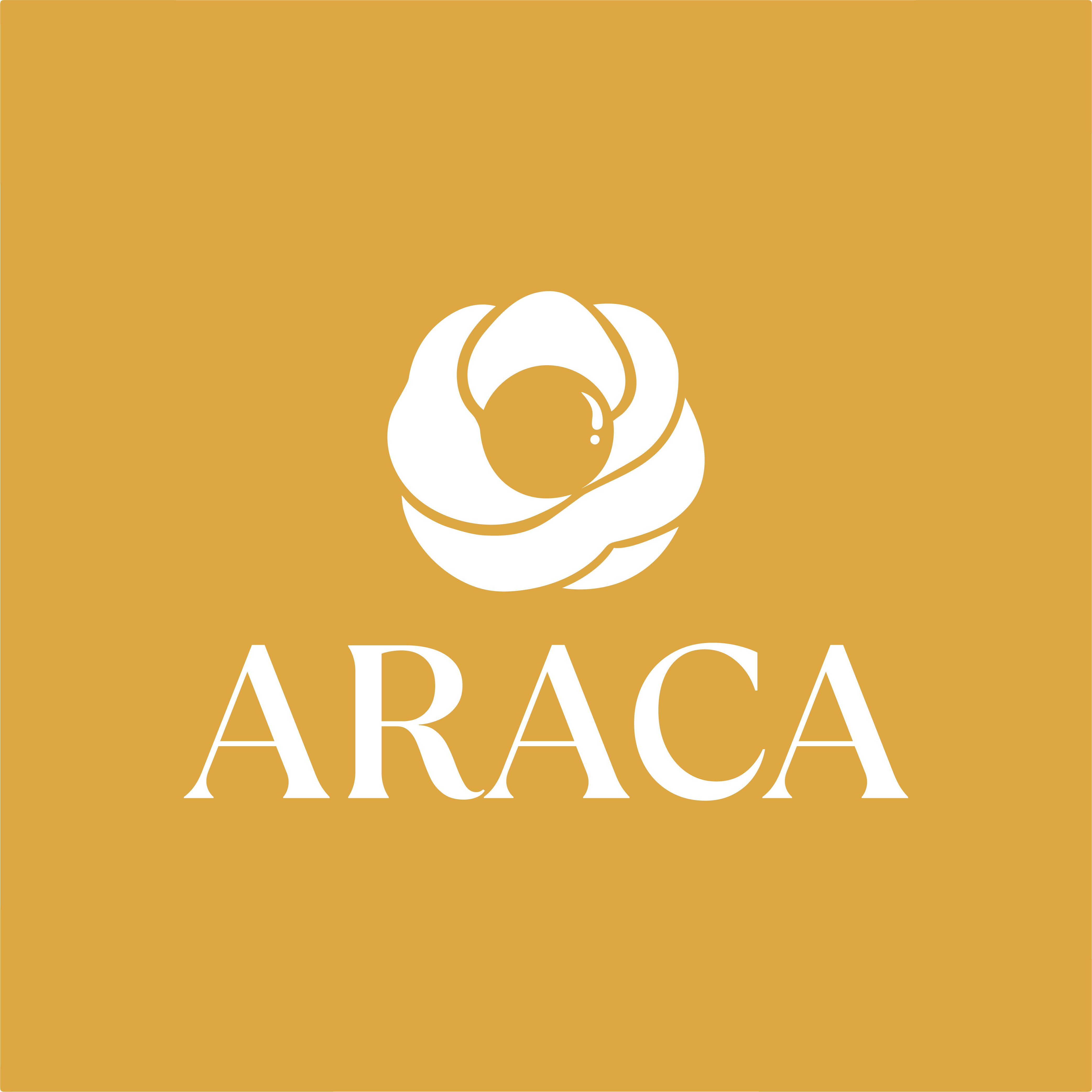 Hộ kinh doanh Phong Thuỷ Araca