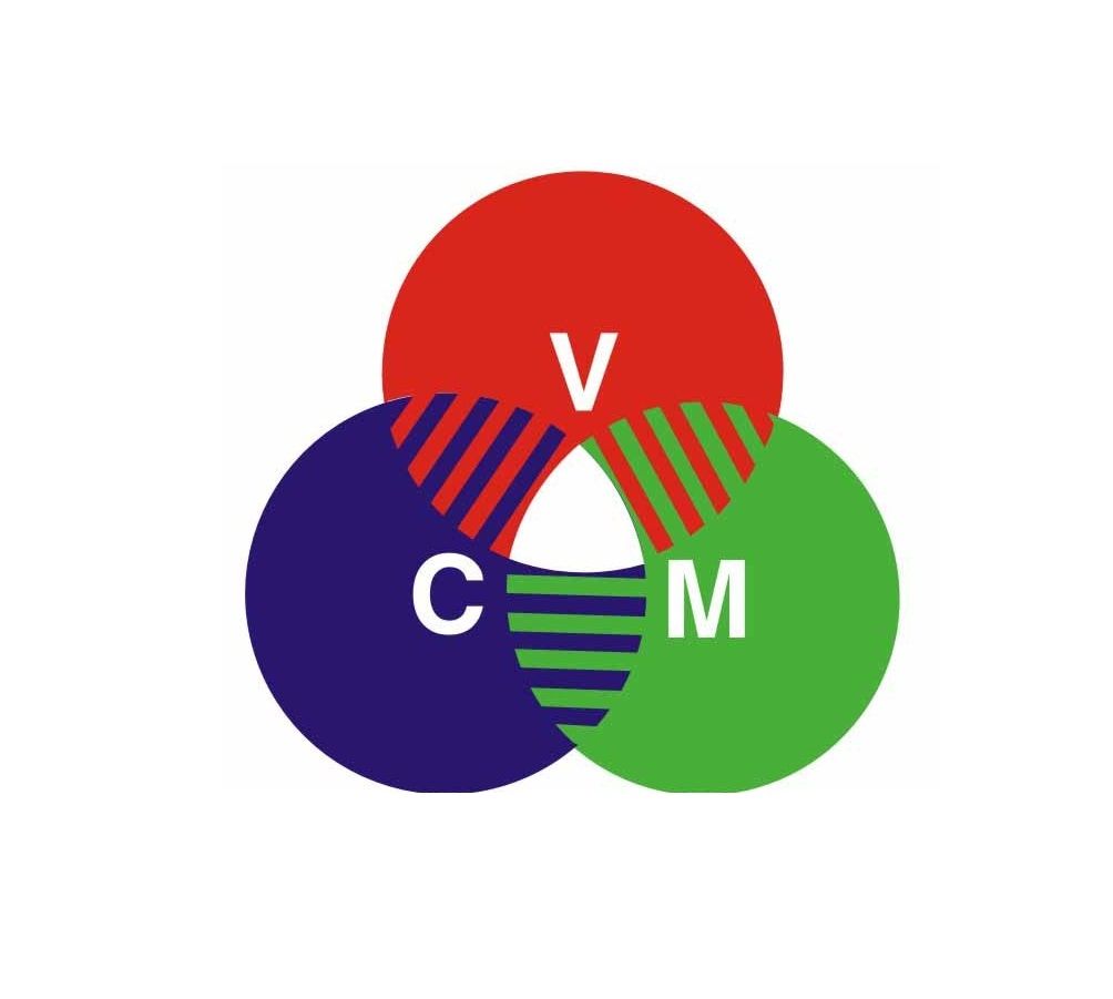 CÔNG TY CỔ PHẦN XÂY DỰNG VIỆT CÔNG MINH