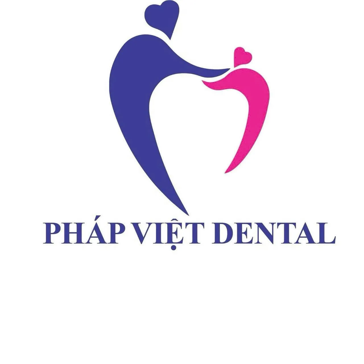 CÔNG TY CỔ PHẦN PHÁP VIỆT