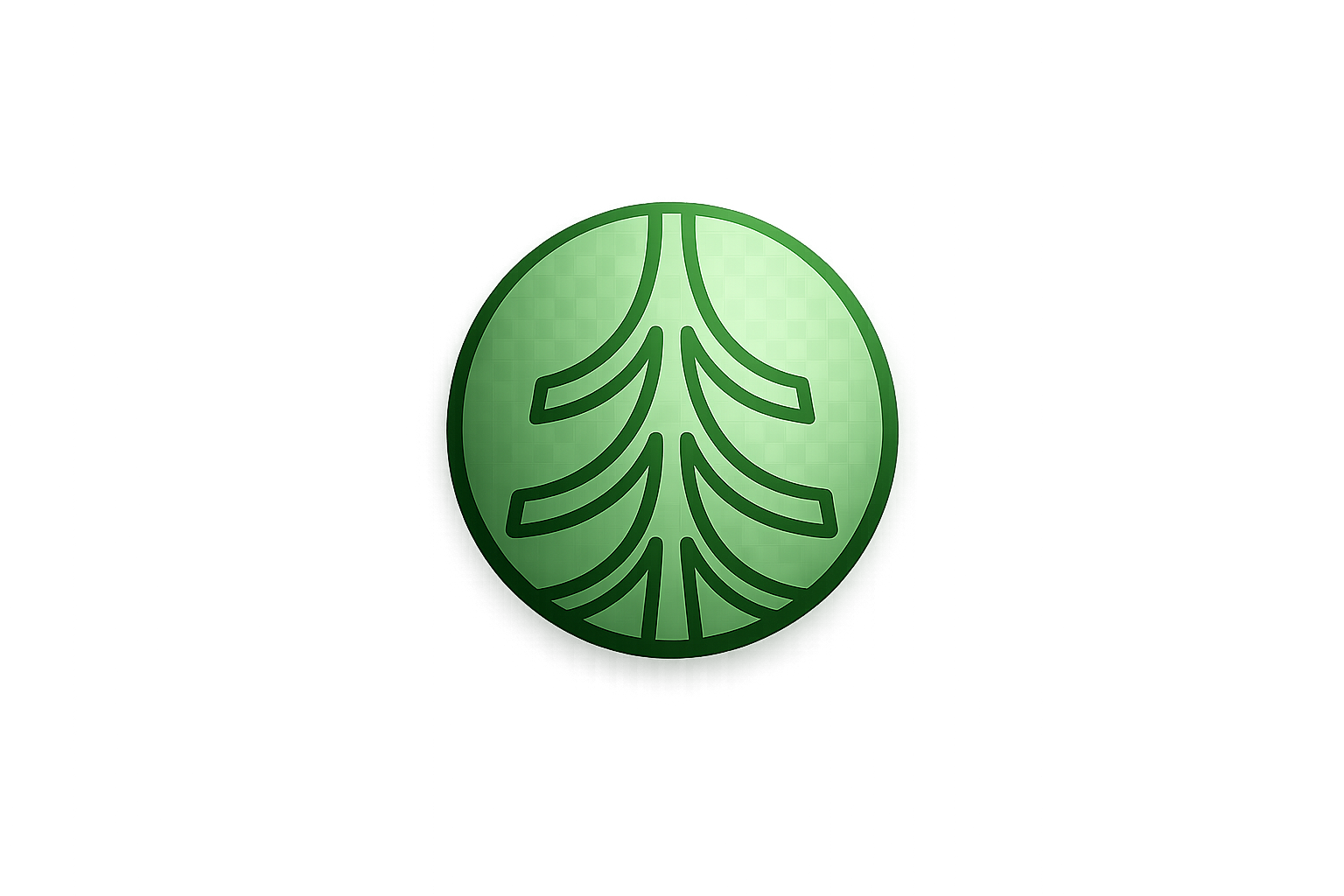 CÔNG TY TNHH THƯƠNG MẠI QINGMU