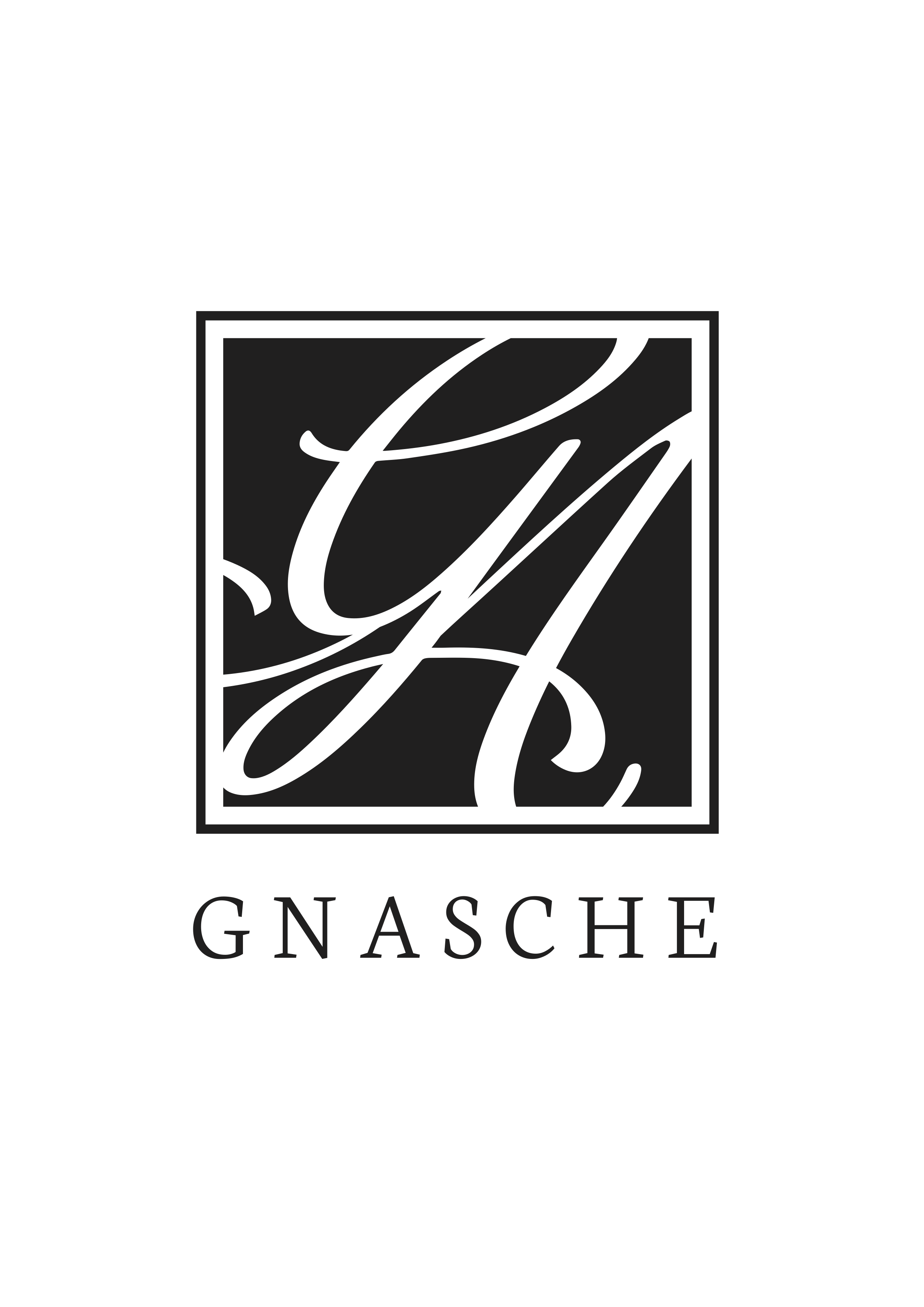 Cty TNHH Gnasche