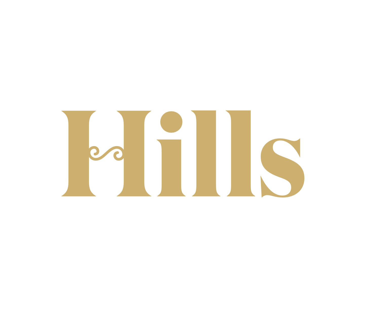 CÔNG TY TNHH HILLS HOLDINGS