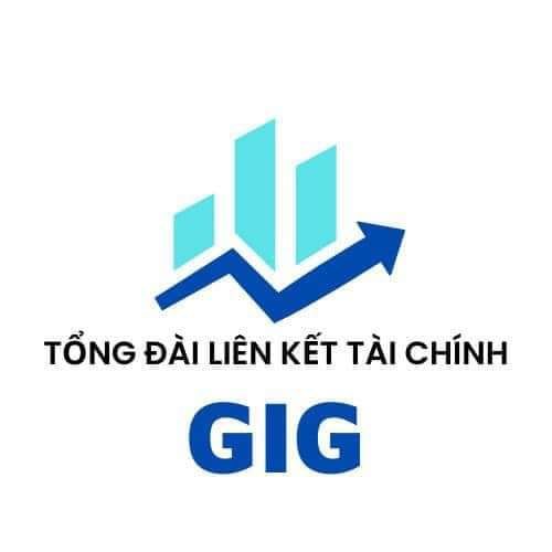 CÔNG TY TNHH MTV DV TƯ VẤN ĐẦU TƯ QUỐC TẾ GIG VIỆT NAM