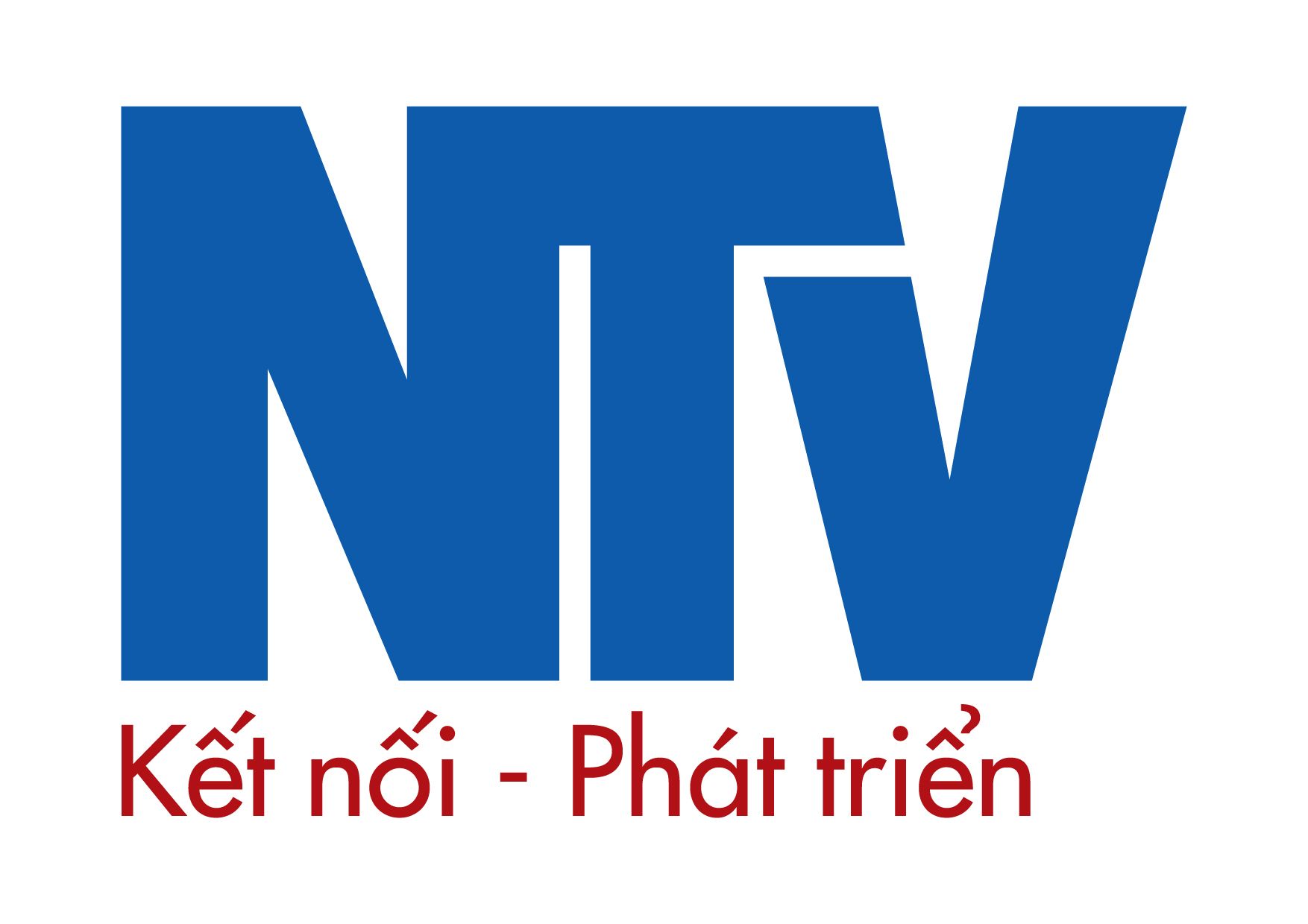Công ty TNHH Kiểm toán Nhân Tâm Việt – Chi nhánh tại Thành phố Hồ Chí Minh
