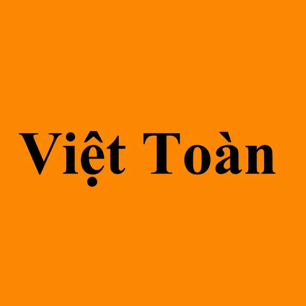 CÔNG TY TNHH TƯ VẤN ĐẦU TƯ VIỆT TOÀN