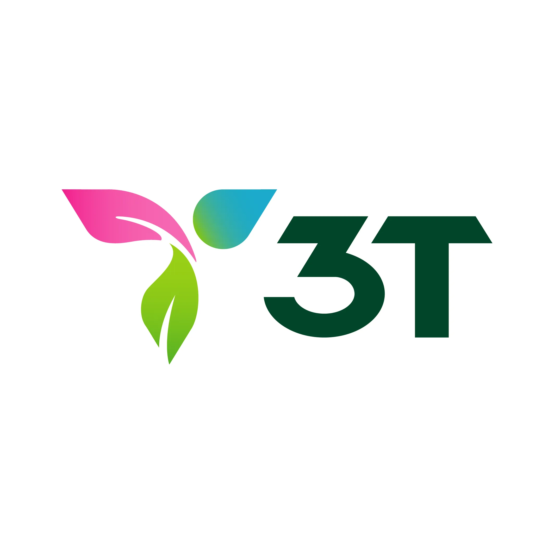 CÔNG TY TNHH TƯ VẤN VÀ ĐẦU TƯ 3T
