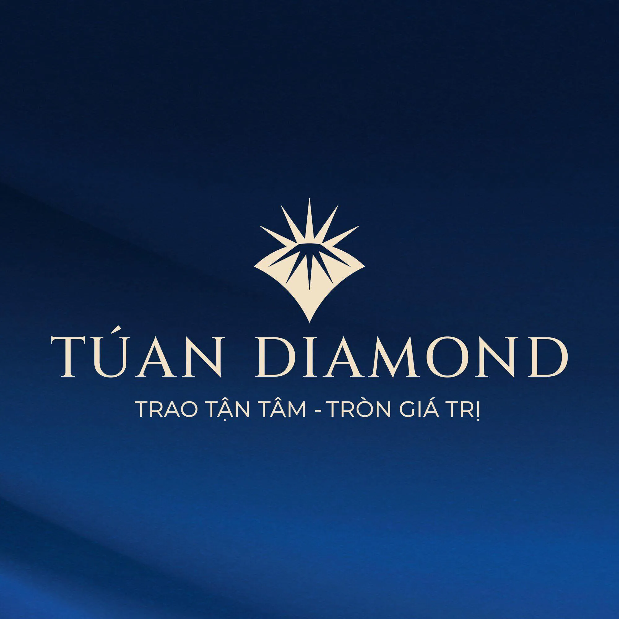 Công Ty TNHH Tú An Diamond & Jewelry