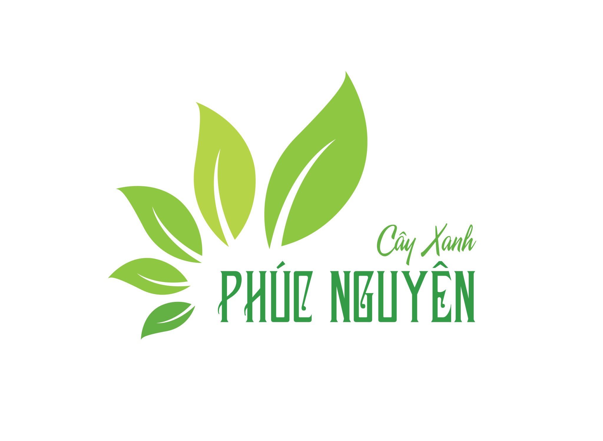 CÔNG TY CỔ PHẦN THƯƠNG MẠI VẬN TẢI VÀ XÂY DỰNG PHÚC NGUYÊN