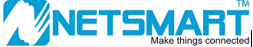 CÔNG TY CỔ PHẦN NETSMART