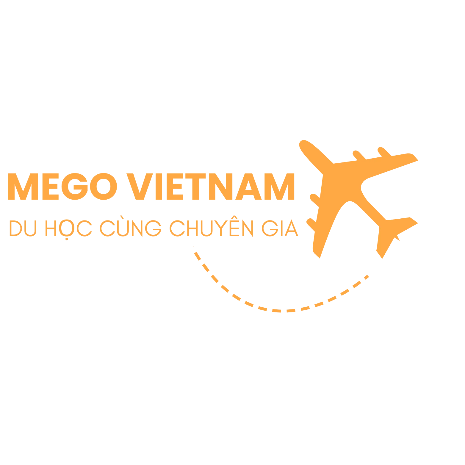 CÔNG TY CỔ PHẦN MEGO VIỆT NAM