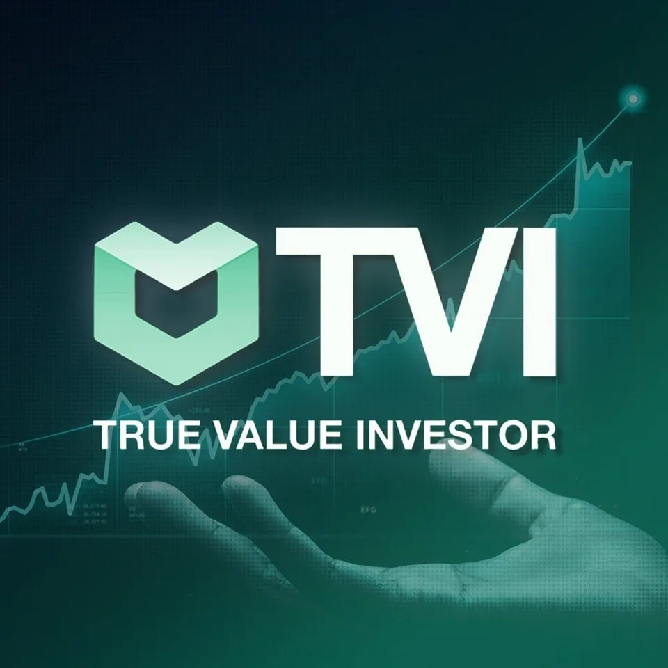 CÔNG TY CỔ PHẦN ĐẦU TƯ TÀI CHÍNH TVI