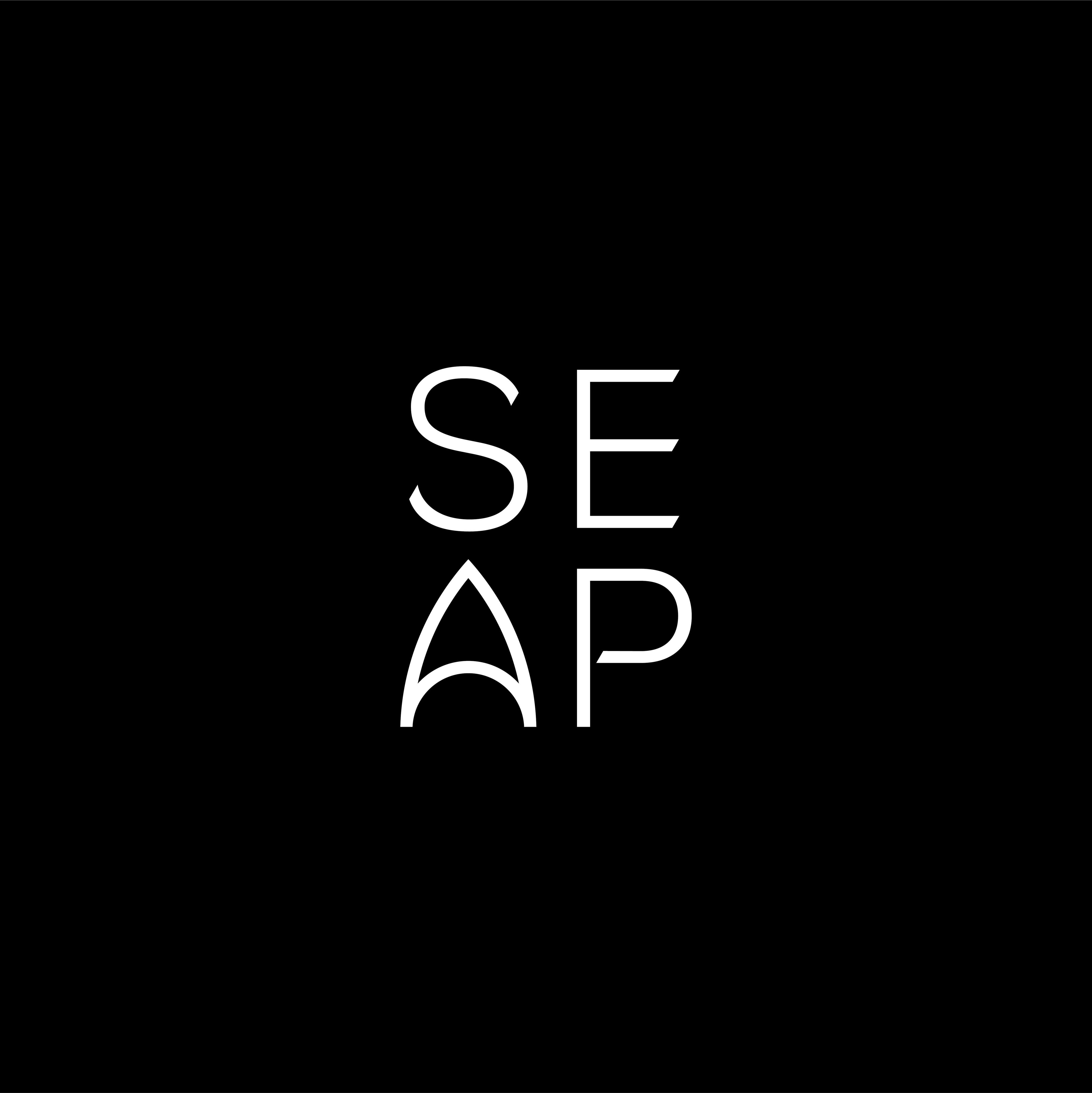 Công ty Cổ phần Thiết kế SEAP