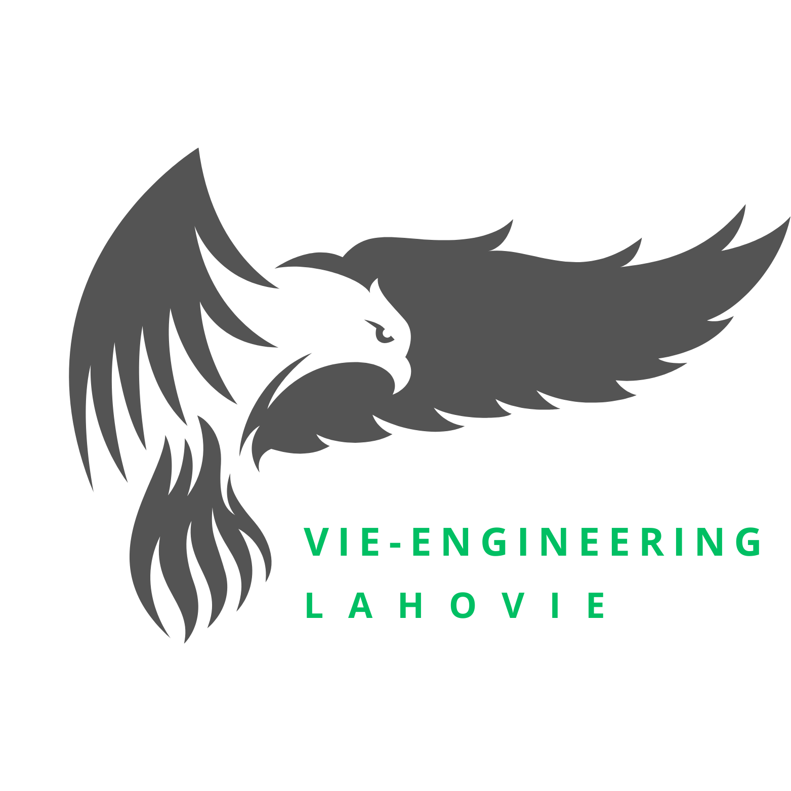 CÔNG TY TNHH CÔNG NGHỆ VIỆT LAHO