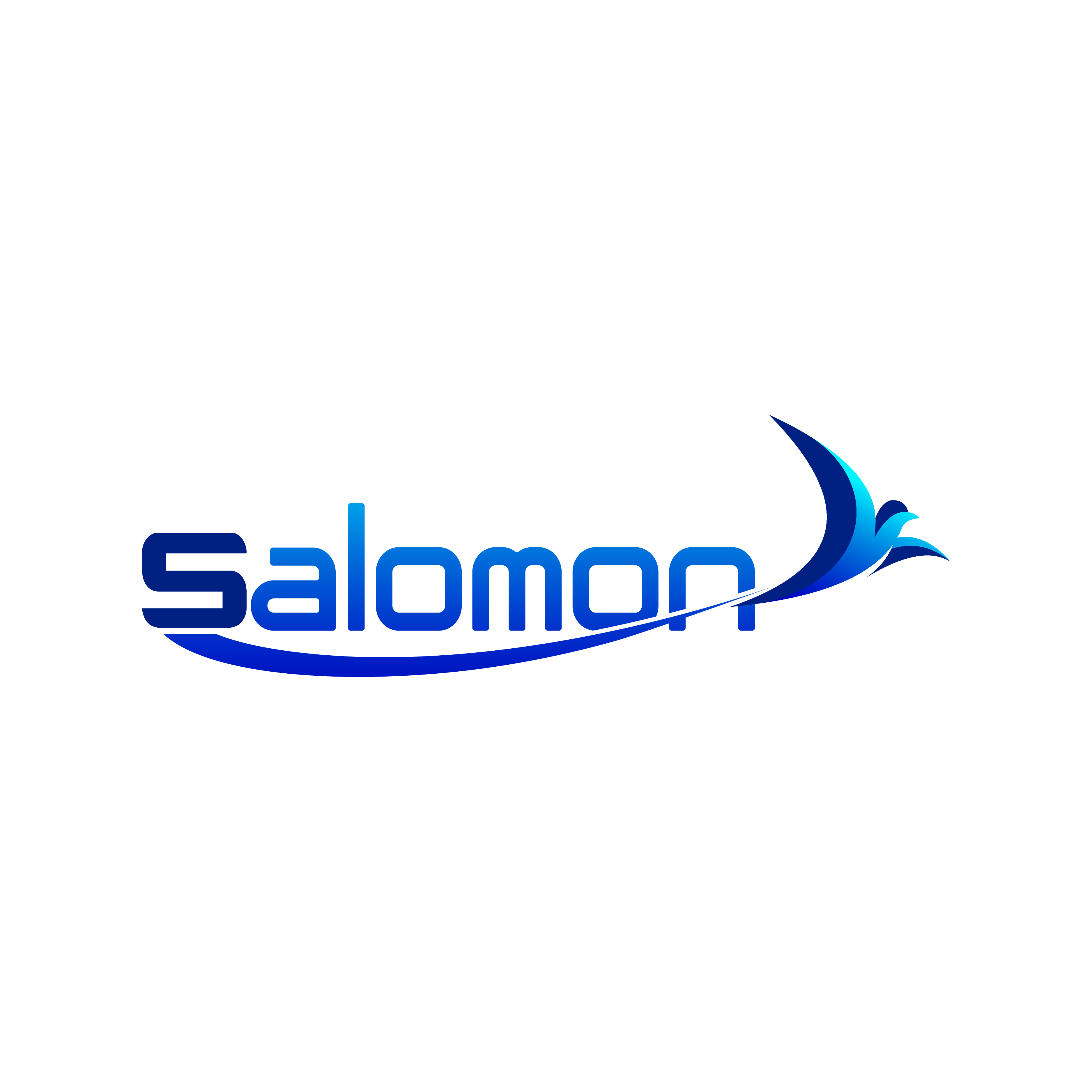 CÔNG TY TNHH SALOMON EDUCATION