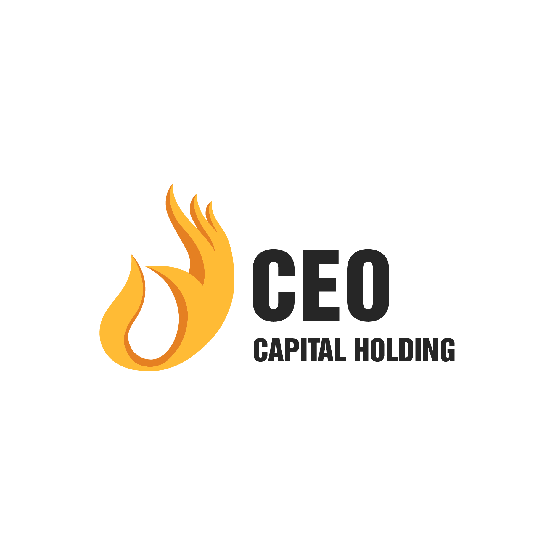 CÔNG TY CỔ PHẦN CEO THỦ ĐÔ HOLDING
