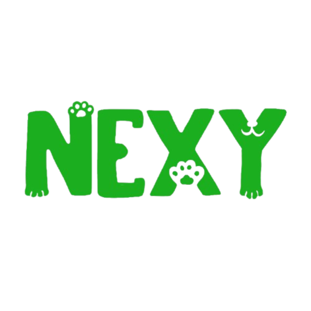 CÔNG TY TNHH THƯƠNG MẠI NEXY