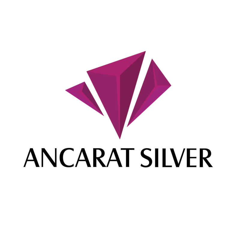 CÔNG TY CỔ PHẦN KIM LOẠI QUÝ ANCARAT