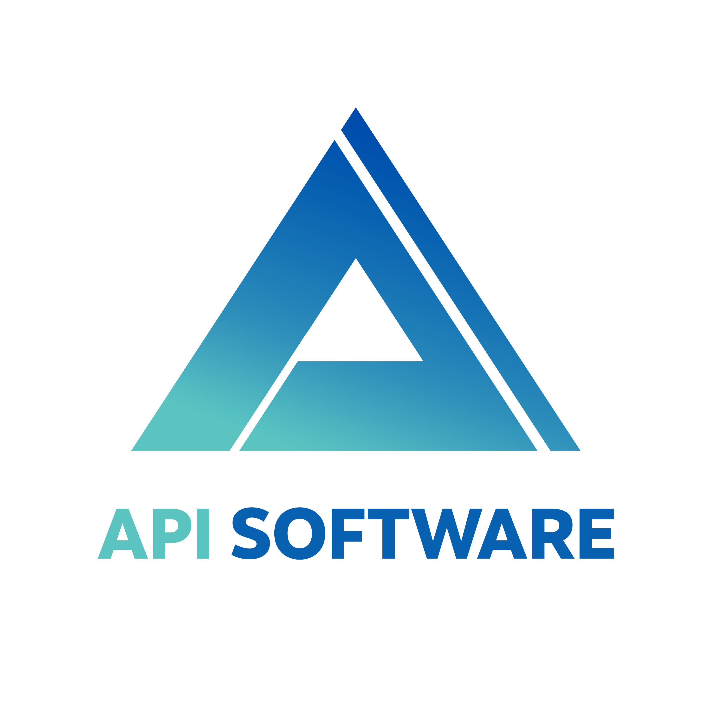 CÔNG TY TNHH API SOFTWARE