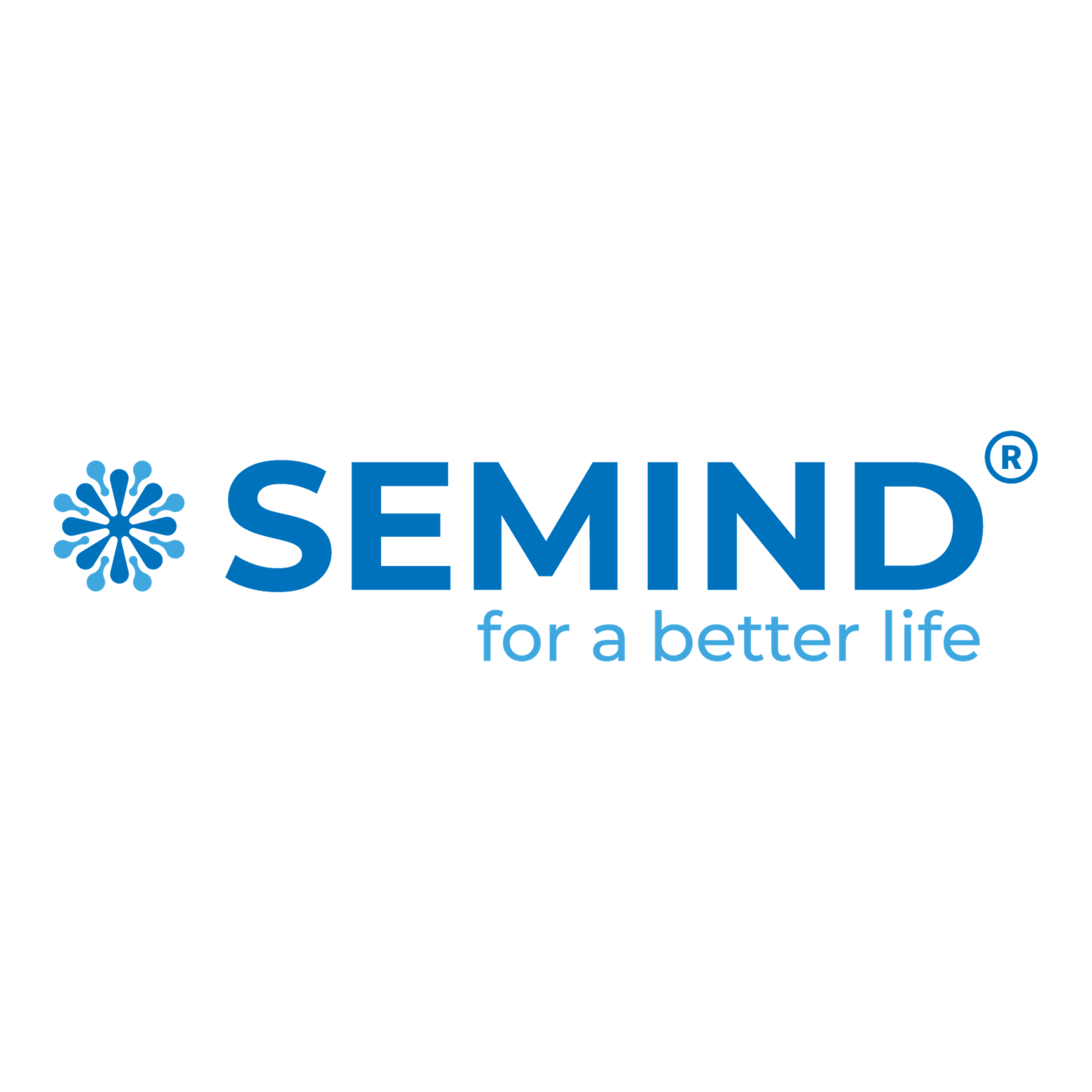 CÔNG TY CỔ PHẦN SEMIND