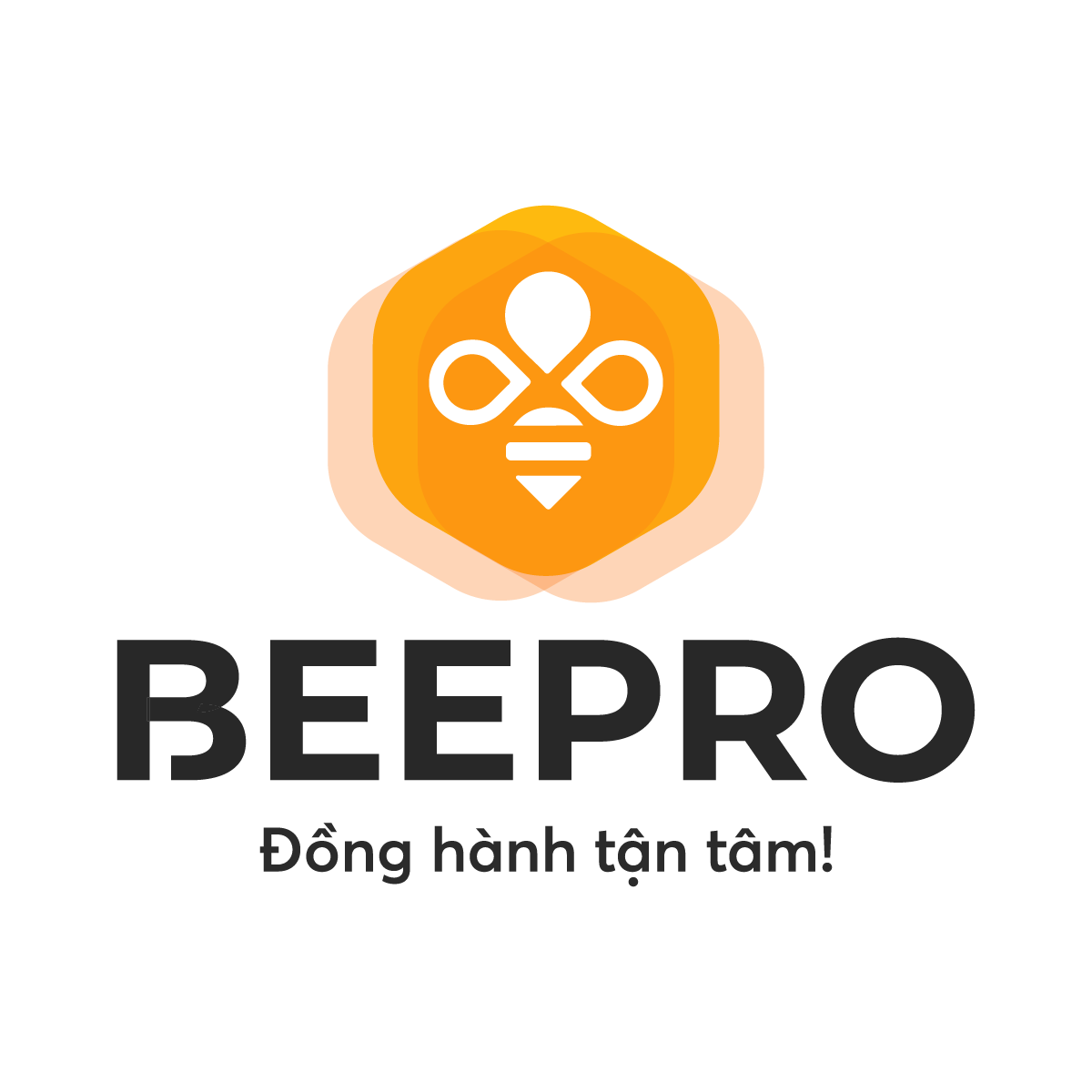 CÔNG TY TNHH DỊCH VỤ KẾ TOÁN QUỐC TẾ BEE PRO