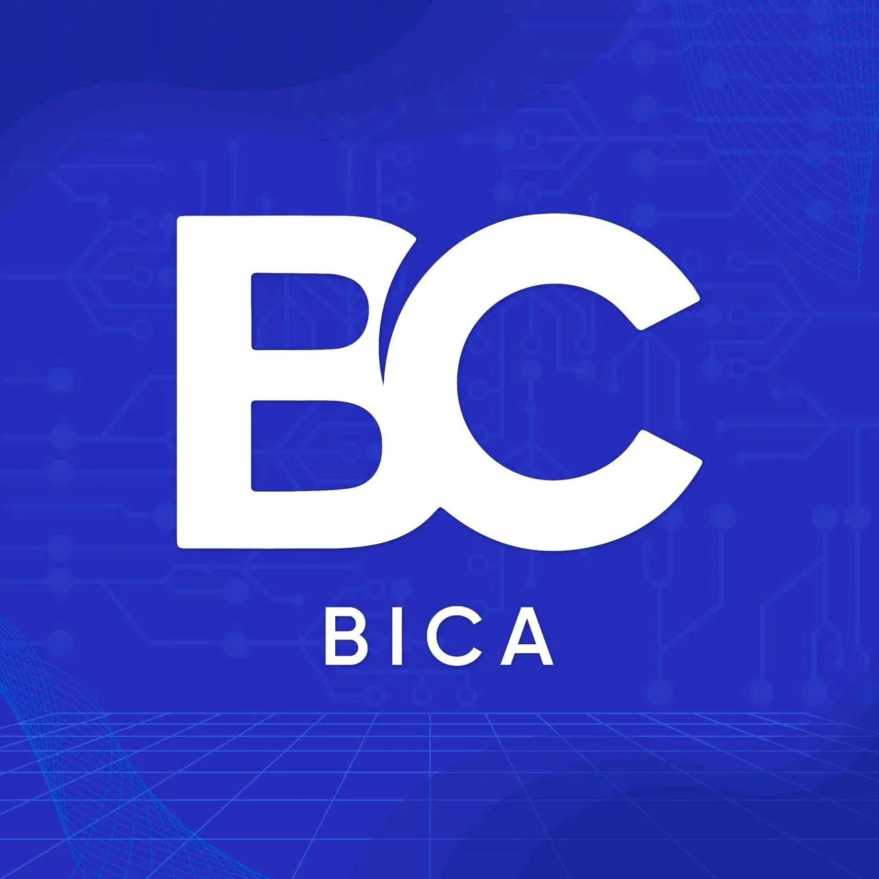 CÔNG TY CP THƯƠNG MẠI VÀ ĐẦU TƯ BICA HOLDINGS
