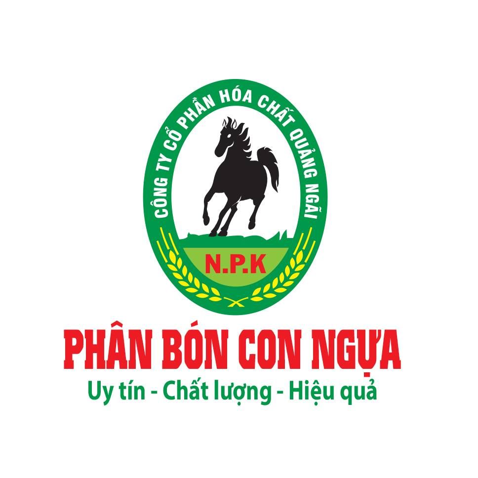 CÔNG TY CỔ PHẦN HÓA CHẤT QUẢNG NGÃI