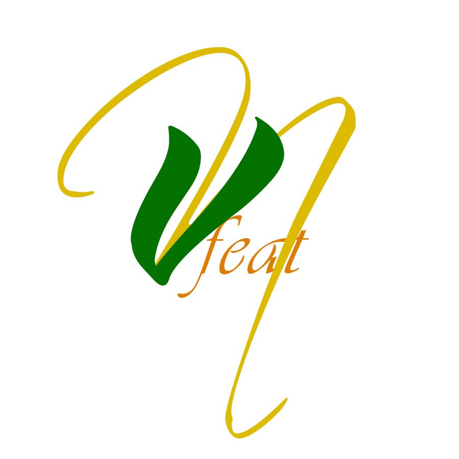CÔNG TY TNHH VINAFEAT