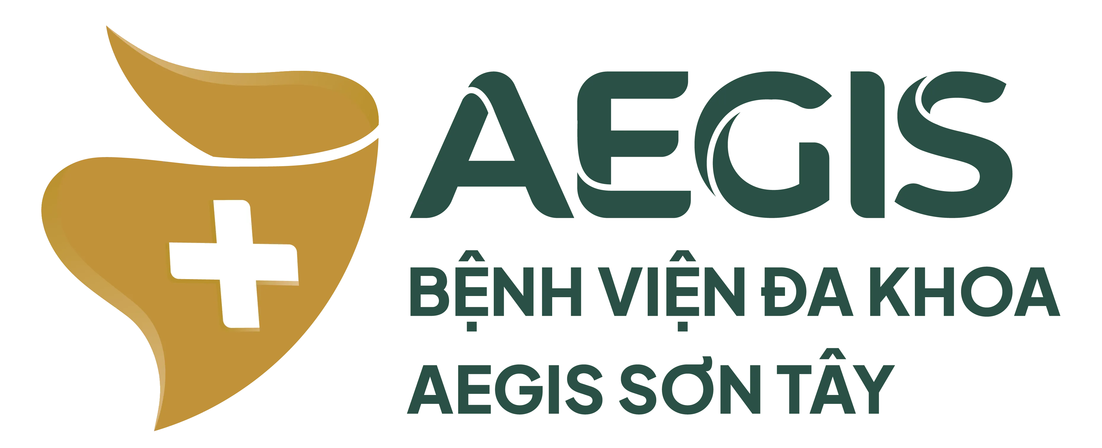 CÔNG TY CỔ PHẦN Y TẾ AEGIS SƠN TÂY