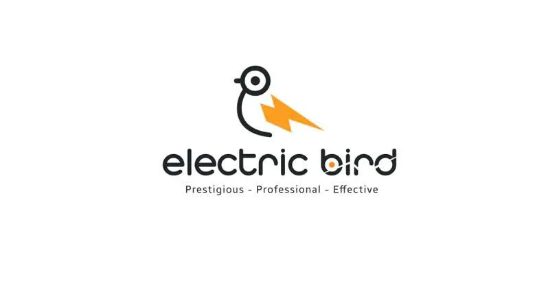 CÔNG TY TNHH CÔNG NGHỆ CAO ELECTRIC BIRD