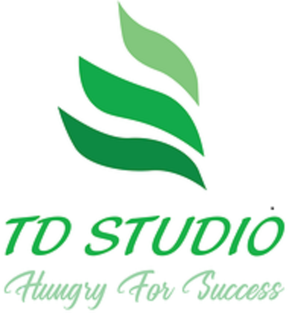 Công ty CP truyền thông và giải trí TD Studio