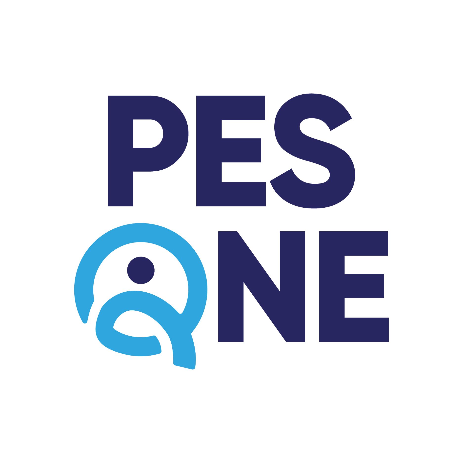 CÔNG TY TNHH ĐẦU TƯ THƯƠNG MẠI VÀ DỊCH VỤ PES ONE