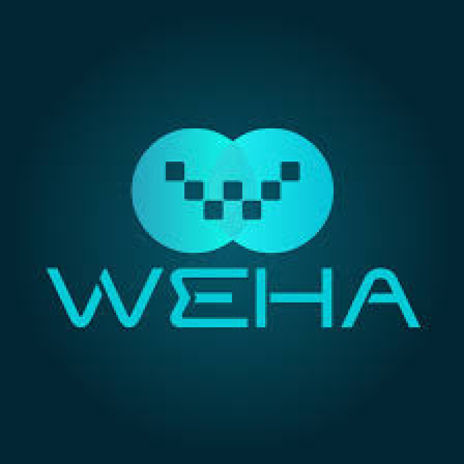 CÔNG TY CỔ PHẦN TẬP ĐOÀN WEHA VIỆT NAM