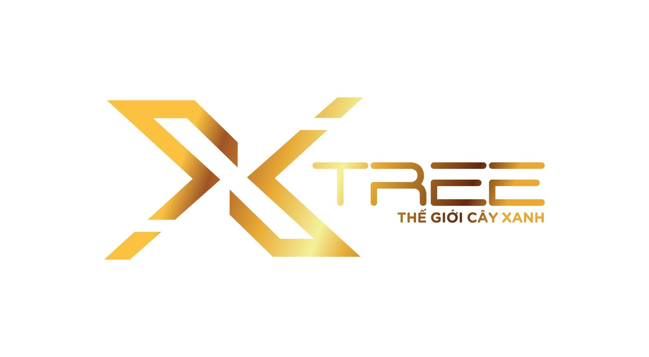 CÔNG TY TNHH X-TREE